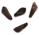  Seeds